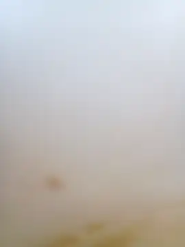 mabimi_sexe élő XXX-chatje