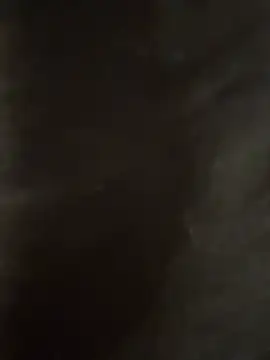 daddysterlingのウェブカメラショー
