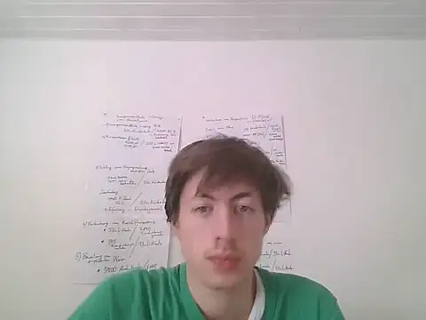 VelvetRagottiOG 网络视讯表演