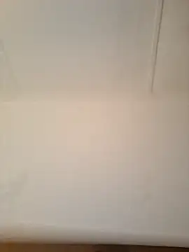 Show webcam de Stronggdragon85