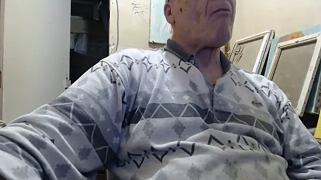 Show webcam de zemm54