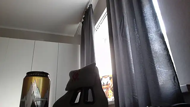 Ar4eewal Pertunjukan Webcam