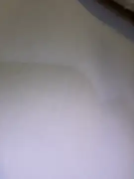 NataKitten's Webcam Show