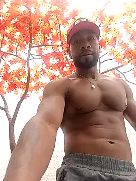 Chatroom XXX en direct de Dante_Knox