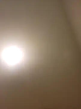 Show webcam de lofibunni