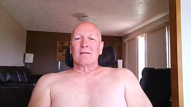 BasicAnt webcam show