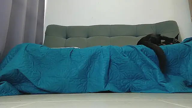 Živý XXX chat Party_Straight