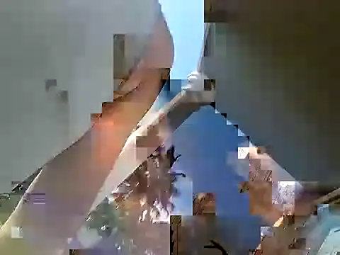Show webcam de Zander823