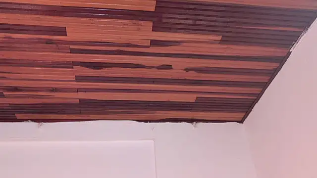 katiamoree 라이브 XXX 채팅