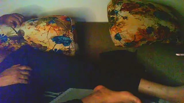 Vbestshow Pertunjukan Webcam