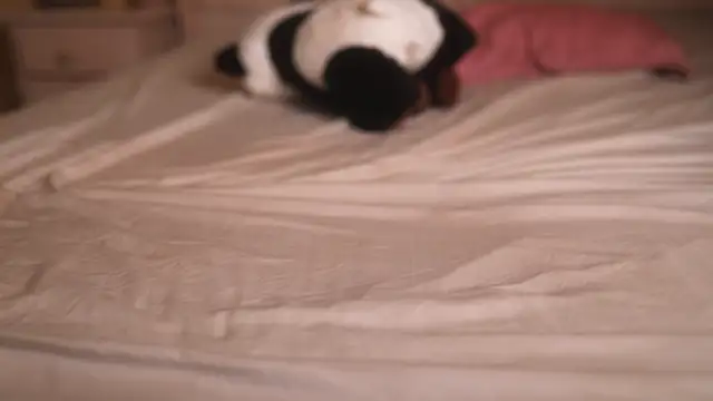 suzysuza Adlı Modelin Canlı XXX Sohbeti