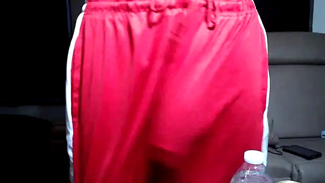 Show webcam de ThickD2C