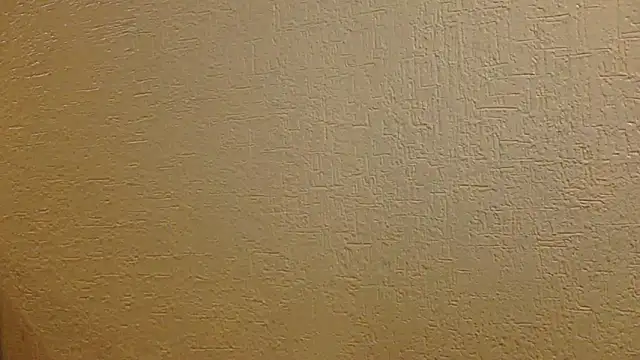Živý XXX chat Latinopervs