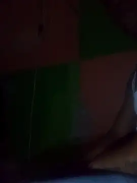 Show modela hacheshx na web-kameri