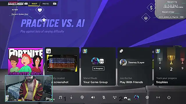 Show Webcam de bottombeargaming