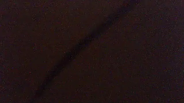 Show webcam de pietje1991