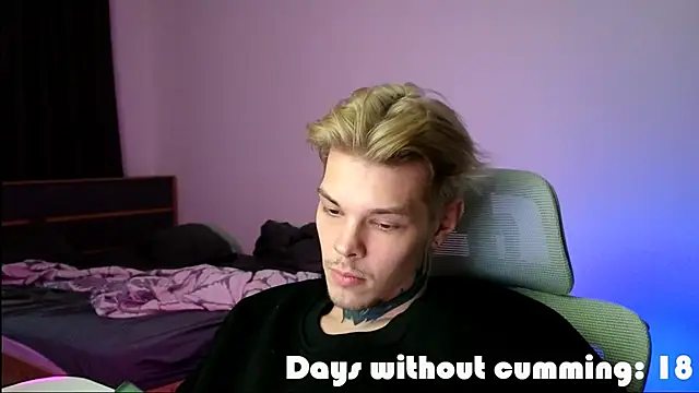 DENIS_HEREn Webbikameraesitys