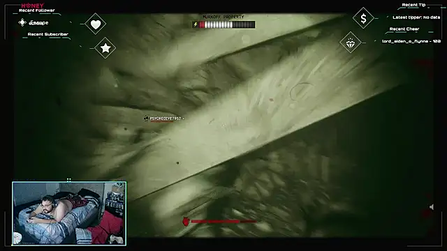 bottombeargaming 在線直播表演