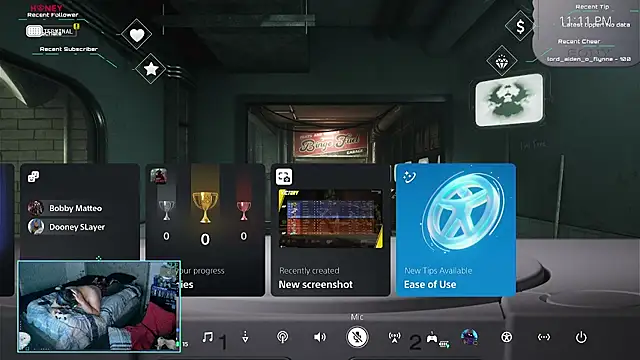 bottombeargaming's Webcam Show