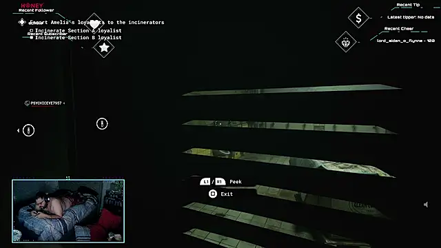 bottombeargaming: διαδικτυακό σόου στην κάμερα