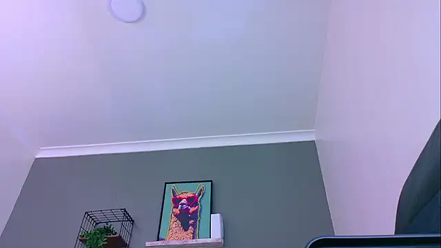 MrFox__ webkamerás műsora