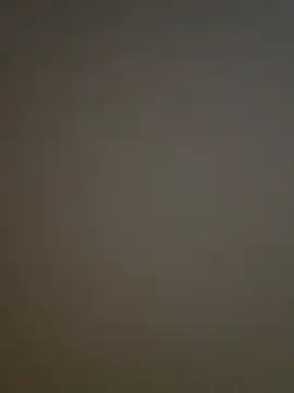 Chat +18 de ursmanis ao vivo