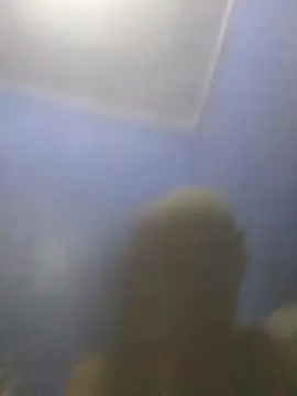 S7LEALTADPERVLIMA7n Webbikameraesitys