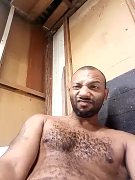 Camodick Webcam show