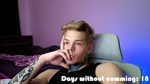 DENIS_HERE Show in webcam