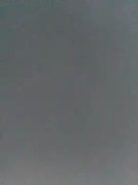 Gasc_1992 webcam show