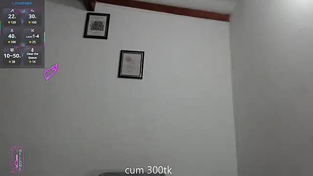 Vlad__night 网络视讯表演