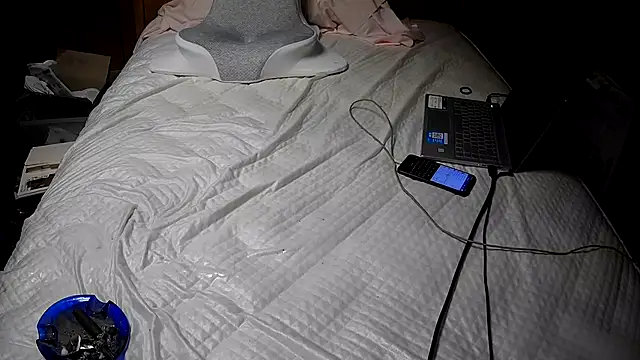 Show Webcam de mms1316