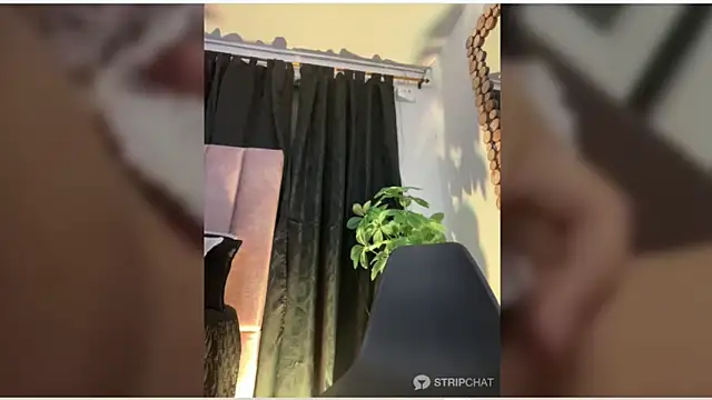 Alexdjx21 – webcam-show
