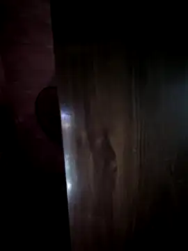 Ruby_Lucyn Webbikameraesitys