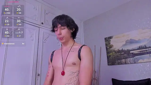 Tyler_durtenのウェブカメラショー
