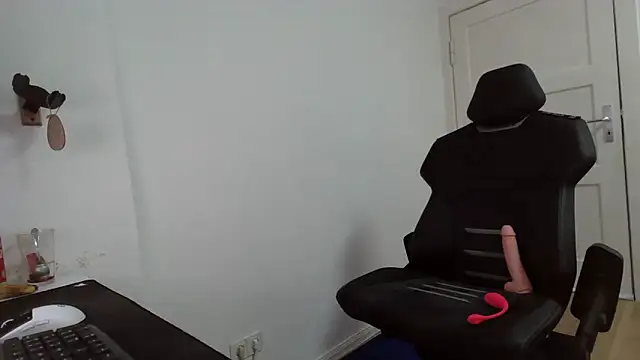 fit_ass_2021 Webcam-Show