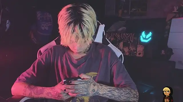 AcidMilo Show Webcam