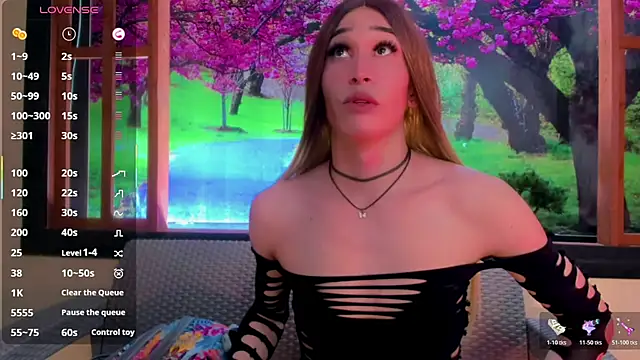 britanny_noroesten Webbikameraesitys