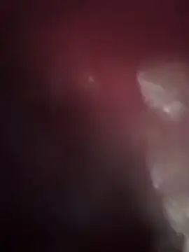 VendiMur Live XXX-Chat