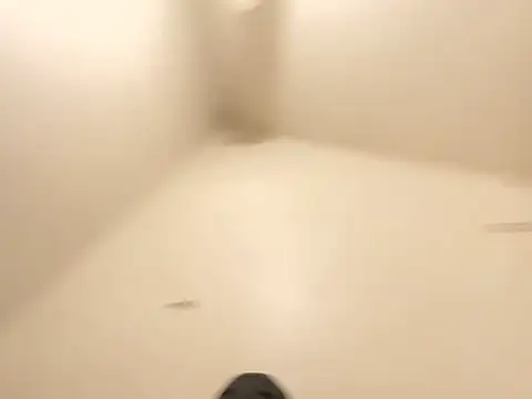 B0jack's Live XXX Chat