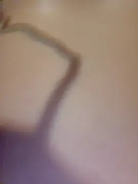 Show webcam de Don_cumseeMe