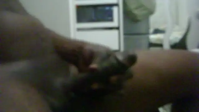 steven_mar43684 Show Webcam