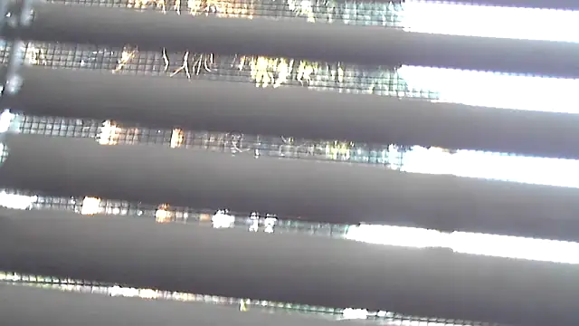 jessicalove99 现场XXX聊天
