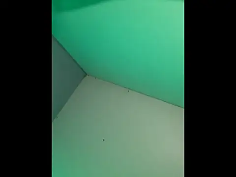 Show de webcam de ironcockkkkk