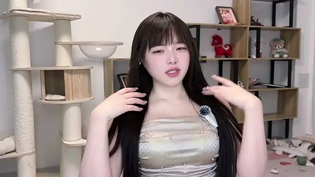 SakuraCat6 网络视讯表演