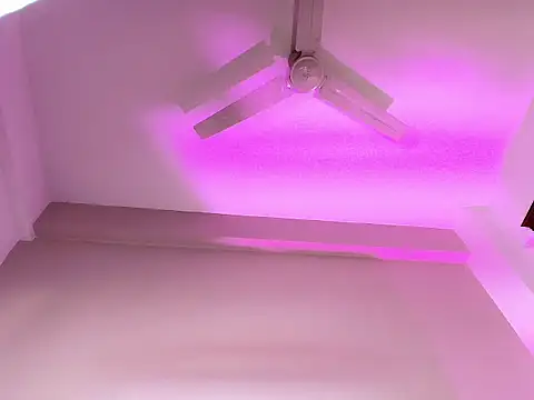 JessieCarterr's Live XXX Chat