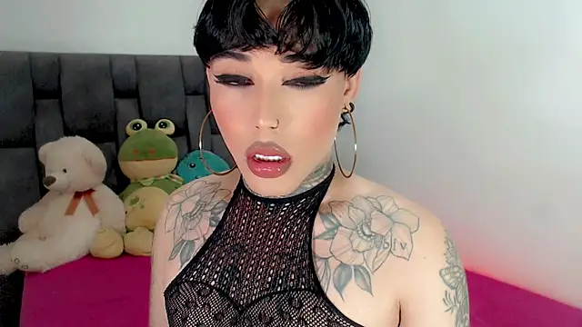 little_star_porn 웹캠 쇼
