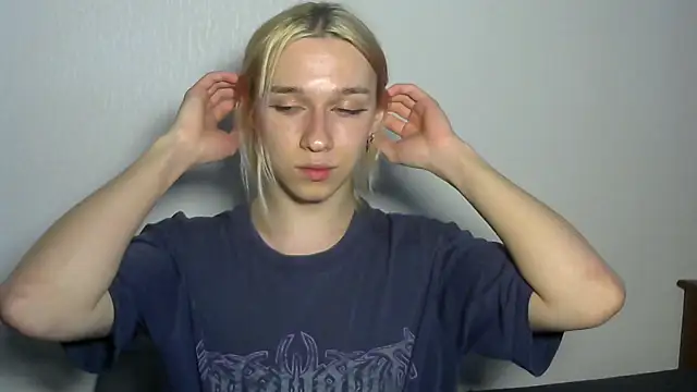 icebenzn Webbikameraesitys