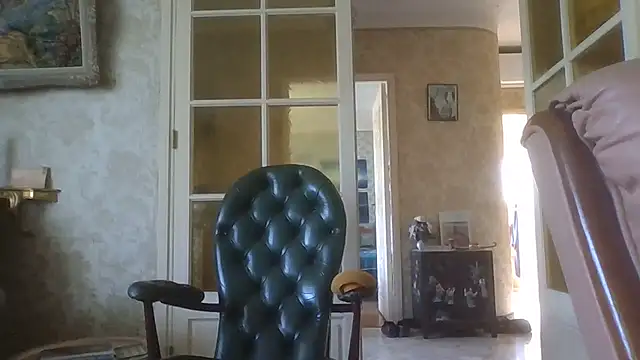 gegevincent5 Show Webcam