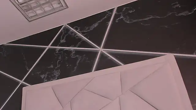 عرض كام AerumChae